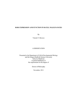 ROR1 EXPRESSION and FUNCTION in B-CELL MALIGNANCIES By