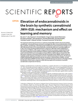 Elevation of Endocannabinoids in the Brain by Synthetic Cannabinoid JWH