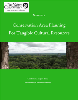 Conservation Area Planning for Tangible Cultural Resources-Working Document