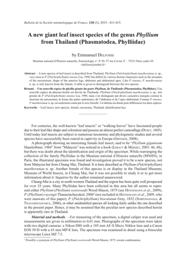 A New Giant Leaf Insect Species of the Genus Phyllium from Thailand (Phasmatodea, Phylliidae)