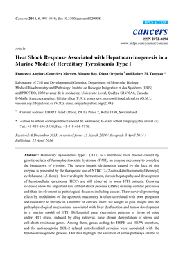 Heat Shock Response Associated with Hepatocarcinogenesis in a Murine Model of Hereditary Tyrosinemia Type I