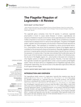 The Flagellar Regulon of Legionella—A Review