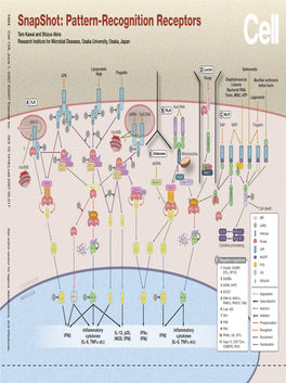 Snapshot: Pattern-Recognition Receptors