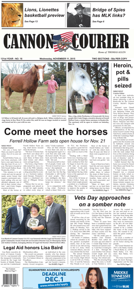 Come Meet the Horses 10342 Jim Cummings High- Way in Bradyville