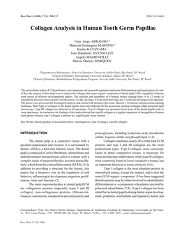 Collagen Analysis in Human Tooth Germ Papillae