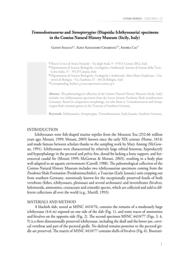 Temnodontosaurus and Stenopterygius (Diapsida: Ichthyosauria) Specimens in the Comiso Natural History Museum (Sicily, Italy)