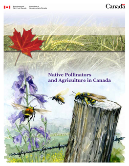 Native Pollinators and Agriculture in Canada