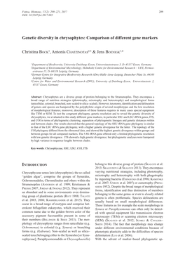 Genetic Diversity in Chrysophytes: Comparison of Different Gene Markers