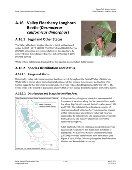 A.16 Valley Elderberry Longhorn Beetle (Desmocerus Californicus Dimorphus) A.16.1 Legal and Other Status