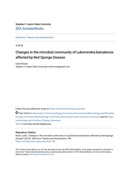 Changes in the Microbial Community of Lubomirskia Baicalensis Affected by Red Sponge Disease