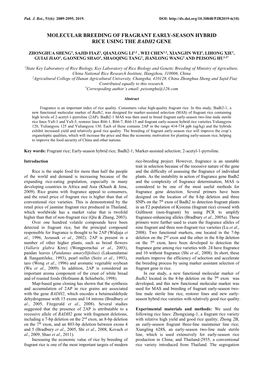 Molecular Breeding of Fragrant Early-Season Hybrid Rice Using the Badh2 Gene