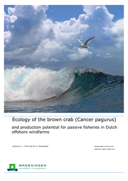 Cancer Pagurus) and Production Potential for Passive Fisheries in Dutch Offshore Windfarms
