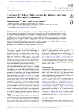 The Mazon Creek Lagerstätte: a Diverse Late Paleozoic Ecosystem Entombed Within Siderite Concretions