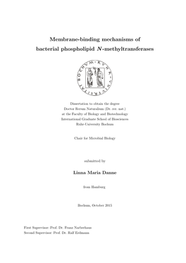 Membrane-Binding Mechanisms of Bacterial Phospholipid N-Methyltransferases = Membranbindemechanismen Bakterieller Phospholipid N