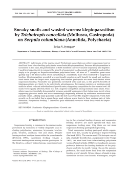 Sneaky Snails and Wasted Worms: Kleptoparasitism by Trichotropis Cancellata (Mollusca, Gastropoda) on Serpula Columbiana (Annelida, Polychaeta)