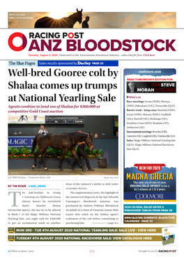 Well-Bred Gooree Colt by Shalaa Comes up Trumps at National Yearling Sale | 2 | Tuesday, August 4, 2020