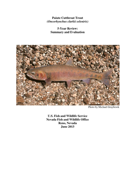 Paiute Cutthroat Trout (Oncorhynchus Clarkii Seleniris) 5-Year Review