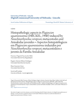 Histopathologic Aspects in <I>Plagioscion Squamosissimus</I>