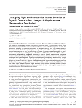 Uncoupling Flight and Reproduction in Ants: Evolution of Ergatoid Queens in Two Lineages of Megalomyrmex (Hymenoptera: Formicidae)