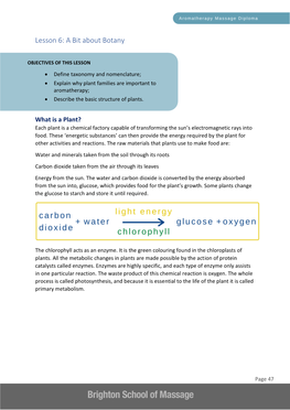 Lesson 6: a Bit About Botany