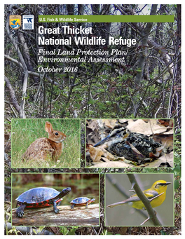 Great Thicket National Wildlife Refuge Final Land Protection Plan/ Environmental Assessment October 2016 Front Cover: Shrubland Habitat, Sandwich, Massachusetts USFWS