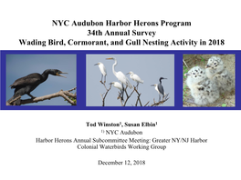 Arthur Kill Wader Colonies