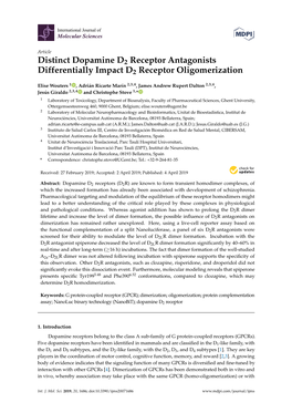 Distinct Dopamine D2 Receptor Antagonists Differentially Impact D2 Receptor Oligomerization