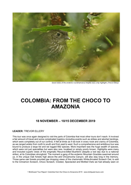 From the Choco to Amazonia 2019 the Tour