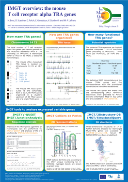 IMGT Overview: the Mouse T Cell Receptor Alpha TRA Genes