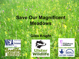 Save Our Magnificent Meadows