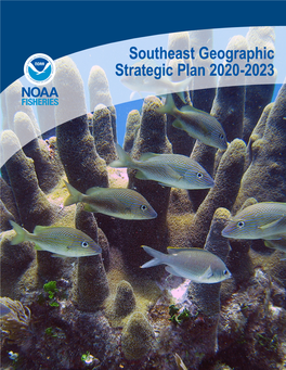 Southeast Geographic Strategic Plan 2020-2023 TABLE of CONTENTS