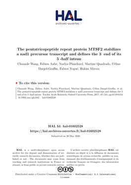 The Pentatricopeptide Repeat Protein MTSF2 Stabilizes a Nad1 Precursor