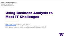 Business Analysis to Meet IT Challenges