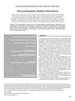 Echocardiography-Guided Interventions