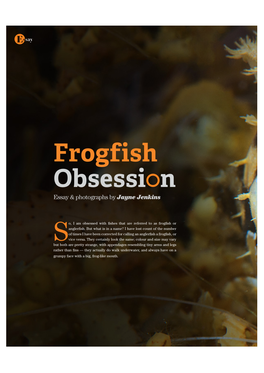 Frogfish Obsessi N Essay & Photographs by Jayne Jenkins