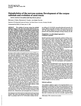 Development of the Corpus Callosum and Evolution of Axon Tracts (Anterior Commissure/Axon Guidance/Glial Sling/Substrate Pathways) MICHAEL J