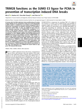 TRIM28 Functions As the SUMO E3 Ligase for PCNA in Prevention of Transcription Induced DNA Breaks