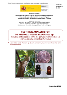 Pest Risk Analysis for the Ambrosia* Beetle