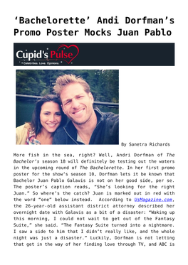 Andi Dorfman's Promo Poster Mocks Juan Pablo