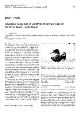 Lncubation Weight Loss of Christmas Shearwater Eggs on Christmas Island, Pacific Ocean