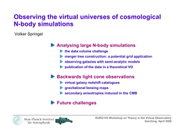 Observing the Virtual Universes of Cosmological N-Body Simulations