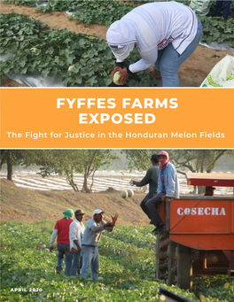 FYFFES FARMS EXPOSED the Fight for Justice in the Honduran Melon Fields