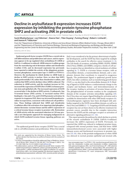 Decline in Arylsulfatase B Expression Increases EGFR Expression