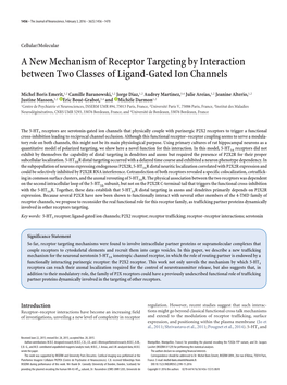 A New Mechanism of Receptor Targeting by Interaction Between Two Classes of Ligand-Gated Ion Channels