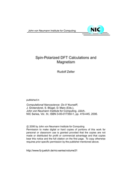 Spin-Polarized DFT Calculations and Magnetism