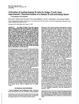 Activation of Resting Human B Cells by Helper T-Cell Clone Supernatant