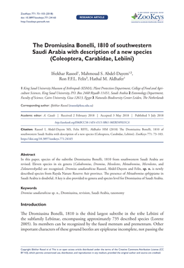 The Dromiusina Bonelli, 1810 of Southwestern Saudi Arabia with Description of a New Species (Coleoptera, Carabidae, Lebiini)