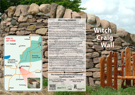 Witch Craig Wall Free Download