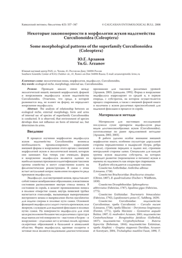 Некоторые Закономерности В Морфологии Жуков Надсемейства Curculionoidea (Coleoptera) Some Morphological Patterns of the Superfamily Curculionoidea (Coleoptera) Ю.Г