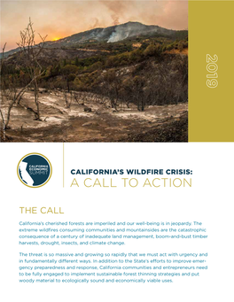 California's Wildfire Crisis